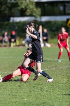 Bild 256 - F RS Kiel 2 - SV Henstedt Ulzburg 2 : Ergebnis: 1:3
